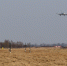 Из Калининграда планируют возобновить прямые перелёты в Турцию - NewKaliningrad.Ru