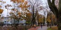 В Калининграде нашли подрядчика для обустройства тротуара рядом с Каштановым парком - Kaliningrad.Ru