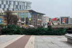 В центре Калининграда приступили к установке новогодней ёлки (фото)