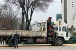 В центре Калининграда приступили к установке новогодней ёлки (фото)