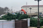 В центре Калининграда приступили к установке новогодней ёлки (фото)