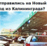опрос куда поехать сайт.jpg - ИА Русский Запад