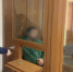 Депутатов совета Янтарного городского округа, которые обвинялись в избиении женщины, приговорили к исправительным работам - Калининградская ГТРК