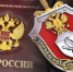 Иллюстрация МВД РФ - НИА-Калининград