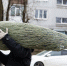 Погода в Калининградской области 24 декабря - NewKaliningrad.Ru