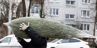 Погода в Калининградской области 24 декабря - NewKaliningrad.Ru