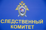 В Калининградской области задержаны подозреваемые в хищении средств у участников СВО (видео)