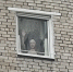 img - ЛДПР