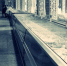 cropped-image (1).jpg - NewKaliningrad.Ru