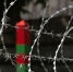 2024.07 пограничное управление фсб, пограничный столб, граница 61.JPG - NewKaliningrad.Ru
