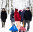 До −10°C и ниже: прогноз погоды в Калининграде на ближайшие дни - NewKaliningrad.Ru