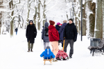 До −10°C и ниже: прогноз погоды в Калининграде на ближайшие дни