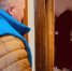 img - ЛДПР