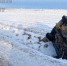 В Гвардейском районе автомобиль съехал в кювет. Водитель погиб - Калининградская ГТРК
