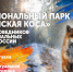 День заповедников и национальных парков России в научной библиотеке - Научная библиотека