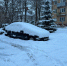 img - ЛДПР