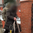 Прокуратура подтвердила законность дела о незаконной вырубке леса в нацпарке «Куршская коса» - Янтарный Край