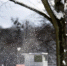 Облачно и без осадков: погода в Калининградской области 16 января - NewKaliningrad.Ru