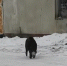 2026 01 20 18 45 31 - Kaskad.TV