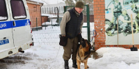 Фото пресс-службы УМВД России по Калининградской области - НИА-Калининград
