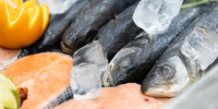 Из Калининграда в Грузию экспортировали более 14 тонн морепродуктов - NewKaliningrad.Ru
