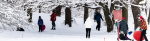 IMG_1639-CR3.jpg