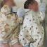 В 2026 году в Калининградской области появились пять пар двоен, три из них - королевские - Министерство здравоохранения