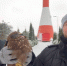 На Балтийской косе от смерти спасли реального хищника - ИА Русский Запад