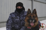 Кинологи специального моторизованного полка Росгвардии стали героями видеоролика о работе кинологических подразделений Росгвардии