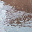 pqglyjmy7he28uao3wzy2jro5t1mxx8t (2).jpg - NewKaliningrad.Ru