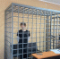 В Зеленоградске 16-летнего подростка взяли под стражу по делу о склонении детей к наркотикам - KaliningradToday.Ru
