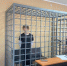 В детском доме Зеленоградска 14-летняя получила передозировку - ИА Русский Запад