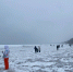 img - ЛДПР