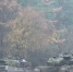 Стоп кадр видео учений Panzerbrigade 45 - НИА-Калининград