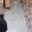 Стоп кадр видео пресс-службы УМВД России по Калининградской области - НИА-Калининград