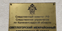 В Зеленоградске несовершеннолетняя подозревается в хулиганстве - Следственный комитет