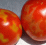 Все три партии помидоров из Турции для Калининграда оказались с душком - ИА Русский Запад