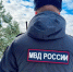 Житель Берёзовки может лишиться свободы за дерево - ИА Русский Запад