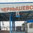 Красивое растение хотели внести из Литвы в Калининградскую область - ИА Русский Запад