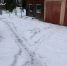 img - ЛДПР