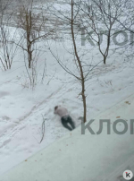 Гигантское чучело, опасная оттепель и сбитый в Калининграде ребёнок: 13 событий, которые обсуждали в длинные выходные - Новости Калининграда | Фото: очевидец