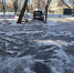 img - ЛДПР