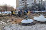 Вдоль улицы Багратиона в Калининграде вырубают взрослые тополя (фото)