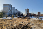 Вдоль улицы Багратиона в Калининграде вырубают взрослые тополя (фото)