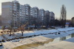 Вдоль улицы Багратиона в Калининграде вырубают взрослые тополя (фото)