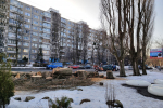 Вдоль улицы Багратиона в Калининграде вырубают взрослые тополя (фото)