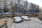 Вдоль улицы Багратиона в Калининграде вырубают взрослые тополя (фото)