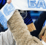 6tdikygia89qemdawkv460ioj03o8q52-2.jpg - NewKaliningrad.Ru