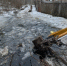 В СНТ экскаватор провалился в выгребную яму, водитель погиб - NewKaliningrad.Ru