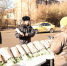 За праздники в Калининграде составили 40 протоколов на незаконных торговцев цветами - Kaliningrad.Ru